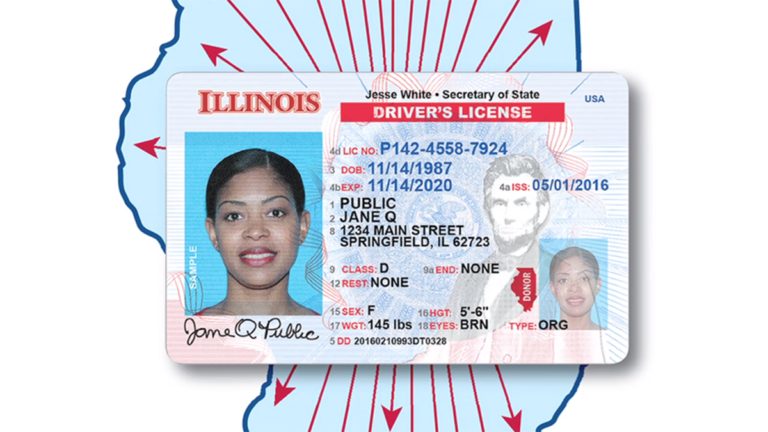 A partir de enero del 2024: Licencias de manejo para indocumentados servirá como identificación en Illinois