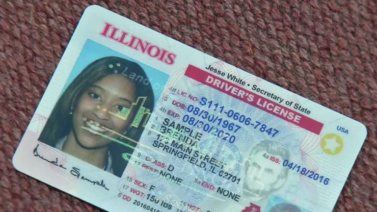 Requisitos Para Sacar Una Licencia Para Conducir, Para Indocumentados En Illinois