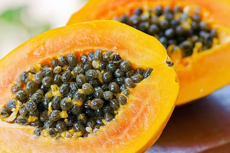Propiedades de las semillas de la papaya