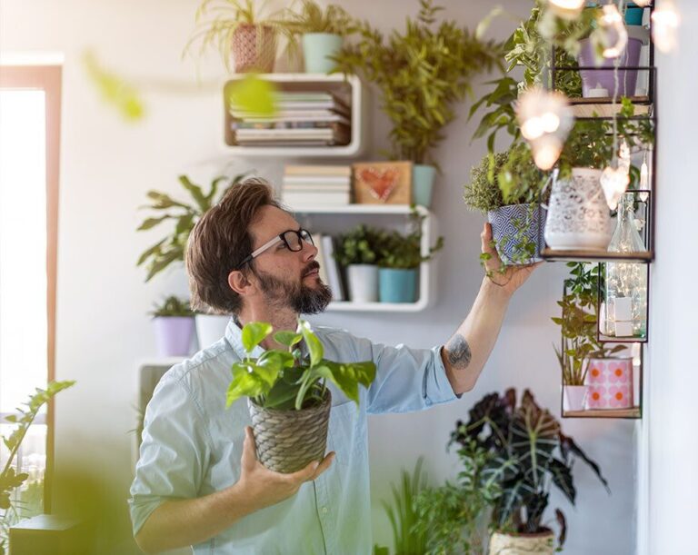 Siete Plantas Para La Buena Suerte