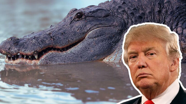 ‘ALLIGATOR ALCATRAZ’: Cárcel con una sola salida: la deportación…